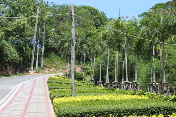 Camino en Mount Pratamnak, Pattaya — Foto de Stock