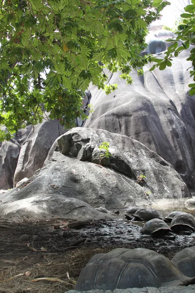 Rocas Seychelles — Foto de Stock