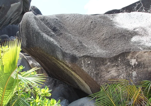 岩塞舌尔 — 图库照片