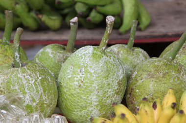 endemik tropikal meyve