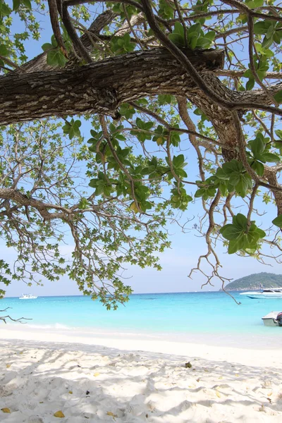 Playa en las Islas Similares, Mar de Andamán, Tailandia, Océano Índico, sur de ea — Foto de Stock