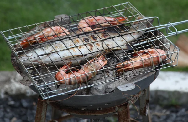 stock image Seafood