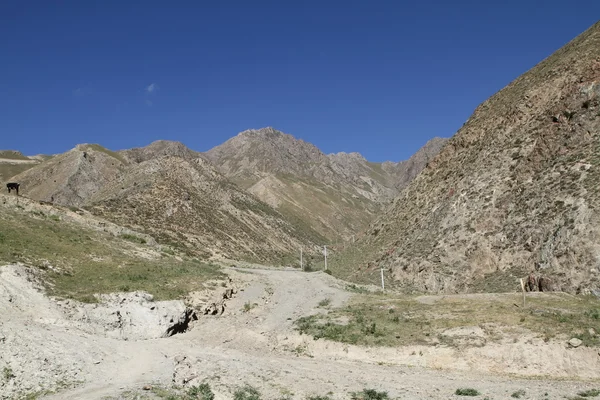 山脚下的西藏 — 免费的图库照片
