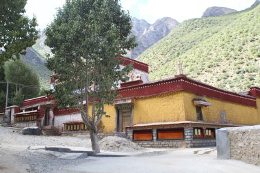 Tibet Budist manastır