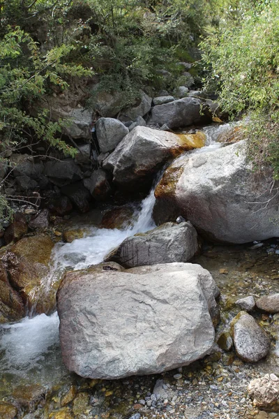 Malá horská řeka — Stock fotografie