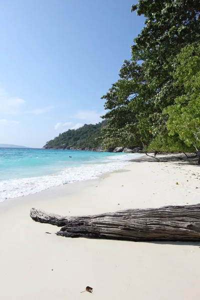 Pláž v Similanské ostrovy — Stock fotografie