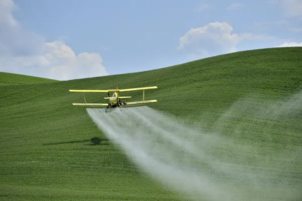 Biplane Crop Duster rociando un campo agrícola . Imagen de stock