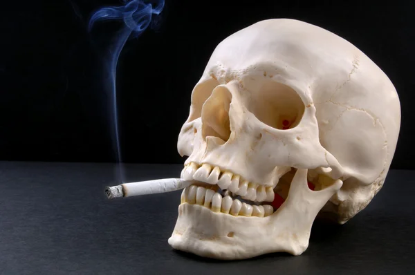 喫煙者、頭蓋骨 ストック画像