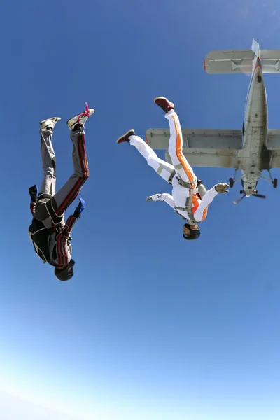 Parachutespringen foto — Stockfoto