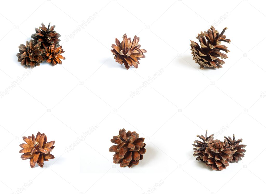 Different cones