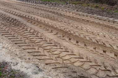 Tracks in sand clipart