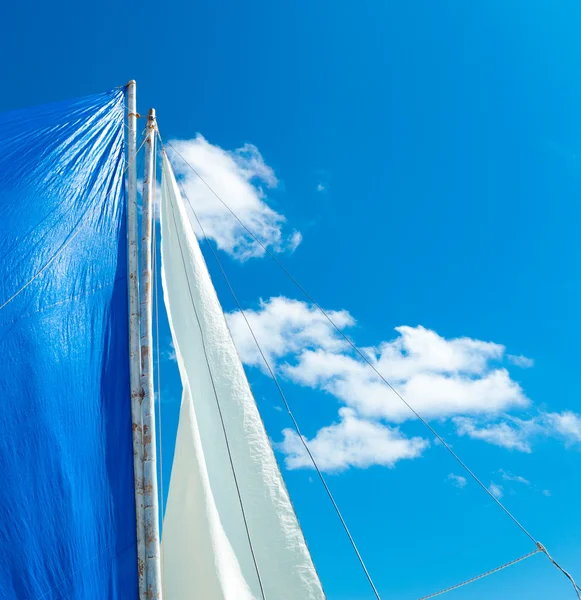 Beyaz ve mavi yelken — Stok fotoğraf
