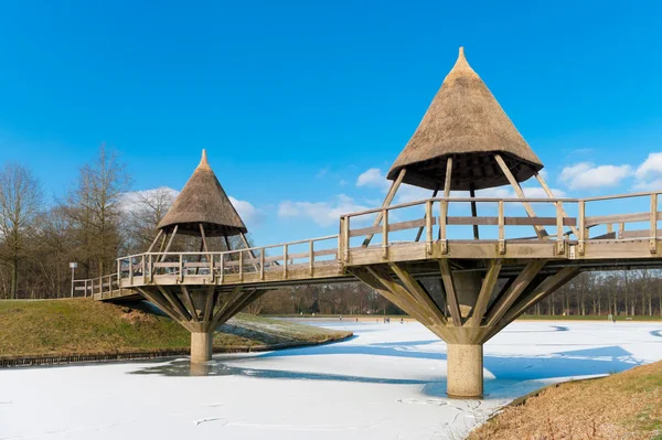 Kışın yaya köprüsü — Stok fotoğraf