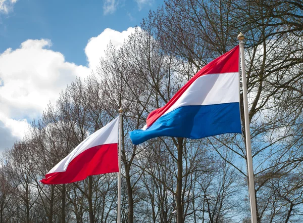 荷兰人和波兰人的旗子 — 图库照片