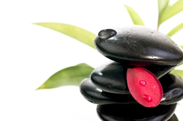 stock image Black zen stones with a red petal with bamboo background