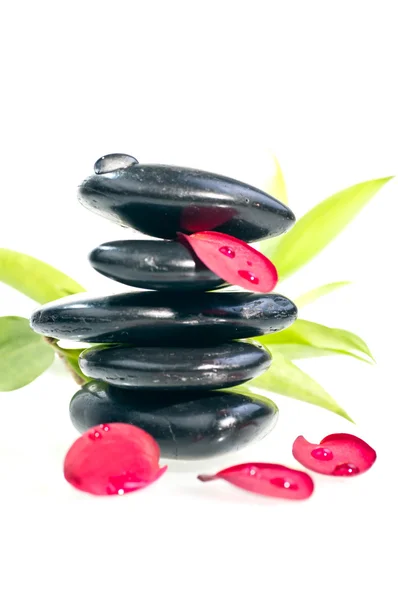 Piedras zen negras con pétalos de flores rojas — Foto de Stock