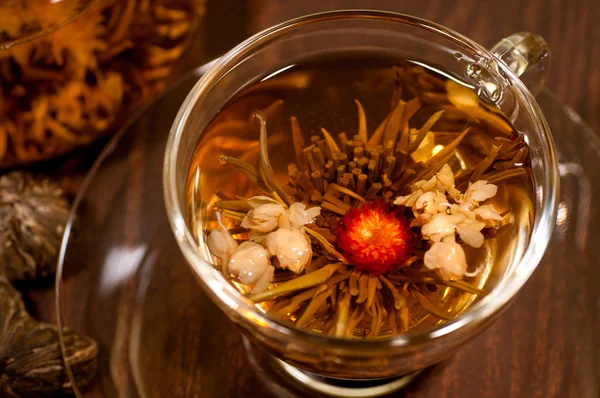 Цветущий чай с красным и белым цветком закрывается в чашке — стоковое фото