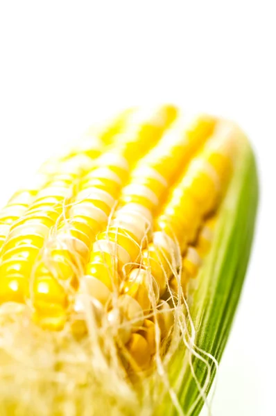 Fresh young corn — Stock Photo, Image