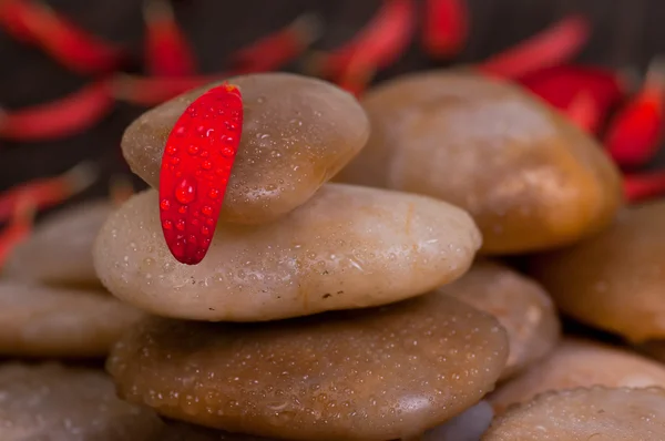 One red petal on yellow river stone close up — Stock Photo, Image