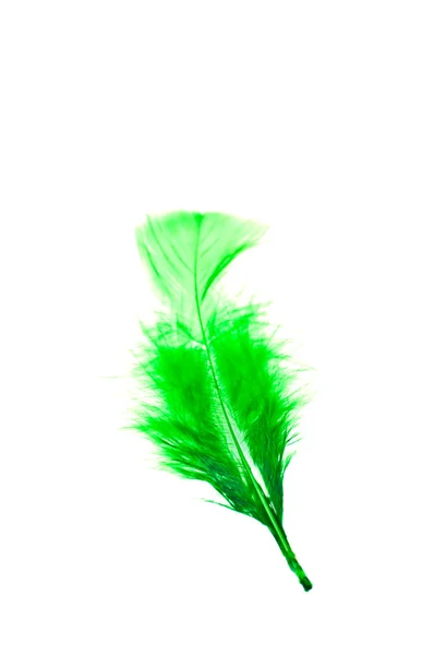 Pluma verde aislada sobre fondo blanco — Foto de Stock