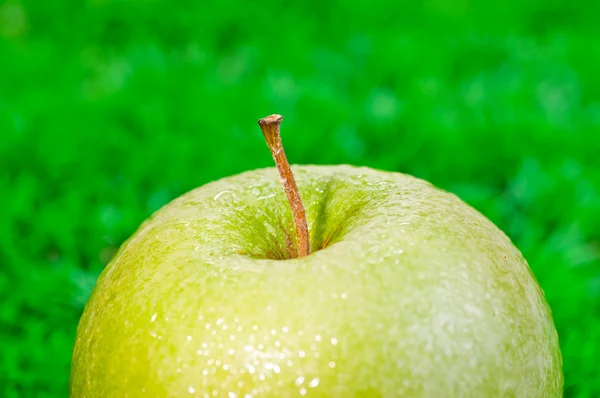 Green apple on grass extreme close up — Stock Photo, Image