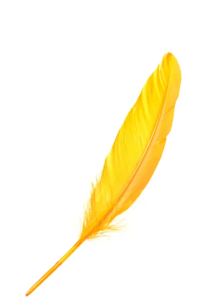 흰색 배경에 고립 된 주황색 깃털 — 스톡 사진