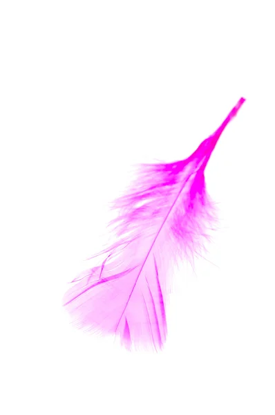 Розовое перо на белом фоне — стоковое фото