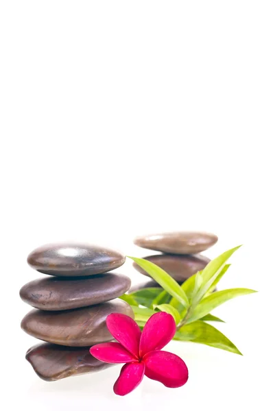 Red frangipani with stacked red river stones — Stock Photo, Image