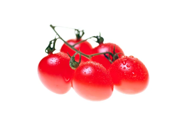 Five Roma tomatoes over white — Stock Photo, Image
