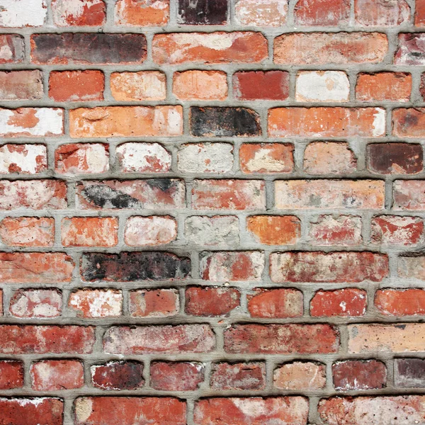 Textura de pared de ladrillo grunge —  Fotos de Stock