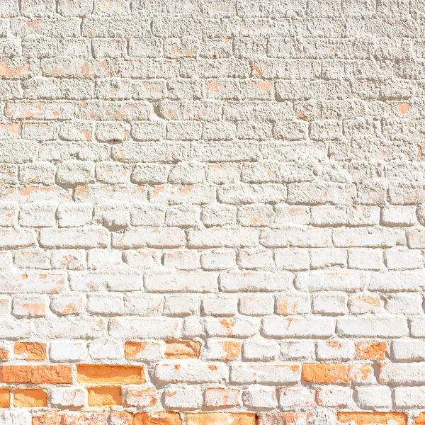 Fondo o textura de pared de ladrillo blanco — Foto de Stock