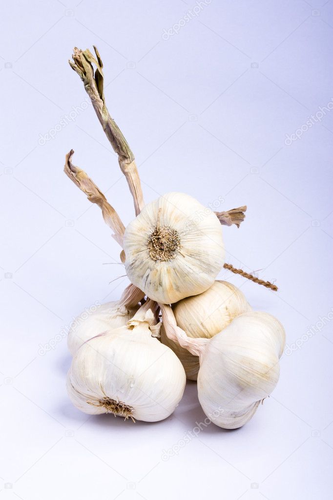 Bunch of garlic bulbs made in studio on bright background