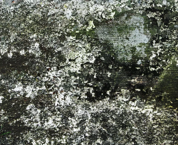Ancienne texture ou arrière-plan de mur moulé — Photo