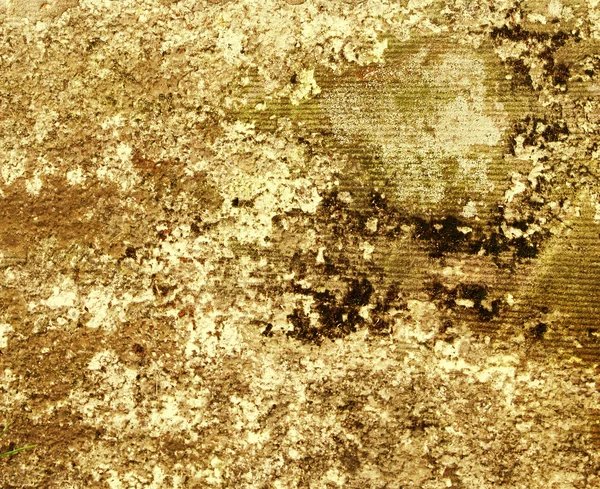 Brown grunge paint wall background or texture — Stock Photo, Image