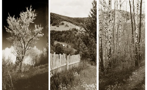 stock image Old traditional photography - Rural views, triptych