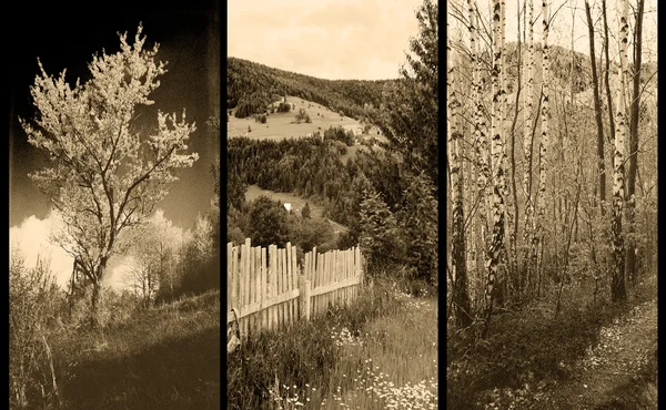 Old traditional photography - Rural views, triptych — Stock Photo, Image
