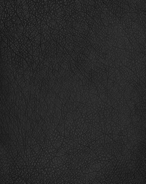 Fondo o textura de cuero negro —  Fotos de Stock