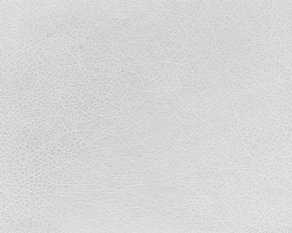 Stock image Dirty white leather texture, may use as grunge background