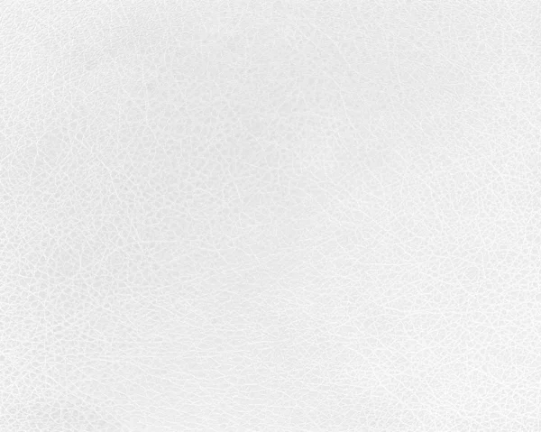 Textura de couro branco ou fundo — Fotografia de Stock