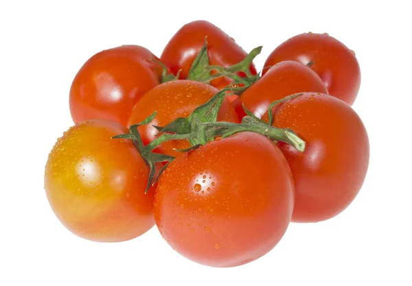 Niektóre dojrzałe pomidory na oddział. — Zdjęcie stockowe