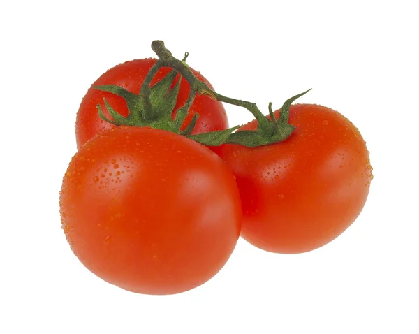 3 dojrzałe pomidory na oddział. — Zdjęcie stockowe