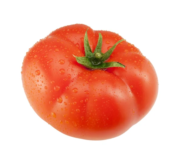 Jeden duży pomidor z kropli wody. — Zdjęcie stockowe