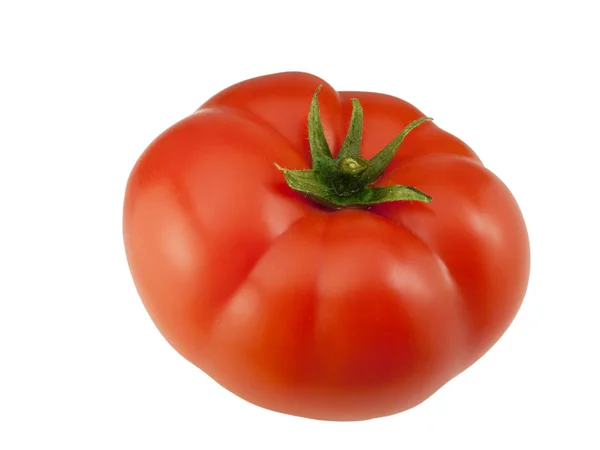 Bir büyük domates. — Stok fotoğraf