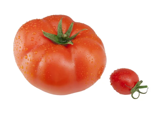 Большие и маленькие помидоры с капельками воды . — стоковое фото