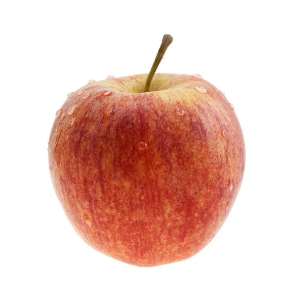 Rött äpple med droppar vatten. — Stockfoto
