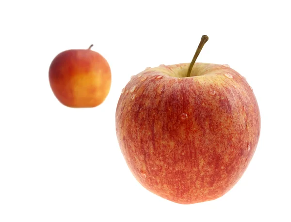 Due mele rosse con gocce d'acqua . — Foto Stock