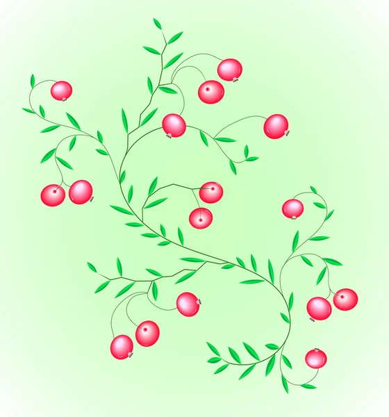 与小红莓浆果灌木. — 图库矢量图片