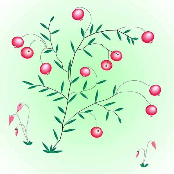 灌木浆果和小红莓花. — 图库矢量图片