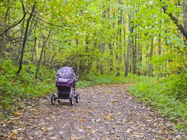 A baby carriage on the road in autumn park. — Stockfoto