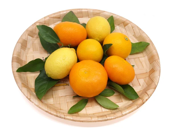 The citrus fruits with leaves on the tray. — Stock Photo, Image